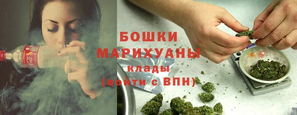 индика Балахна
