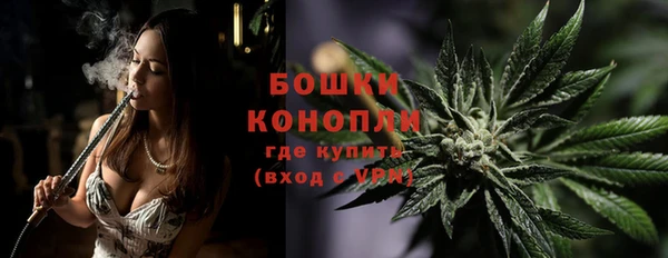 индика Балахна