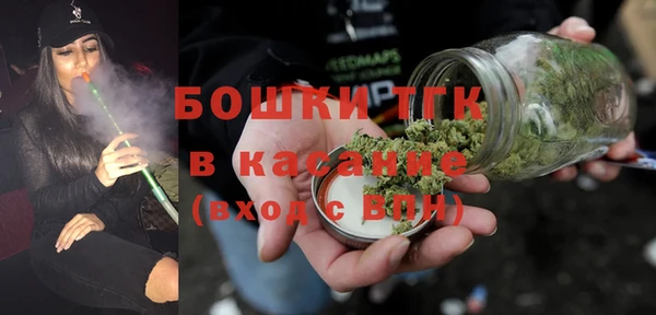 индика Балахна
