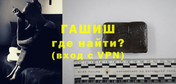 индика Балахна