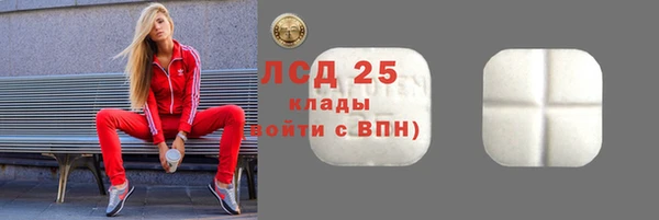 индика Балахна