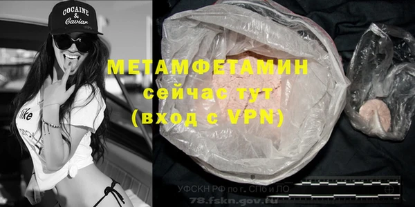 индика Балахна