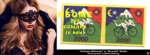 индика Балахна